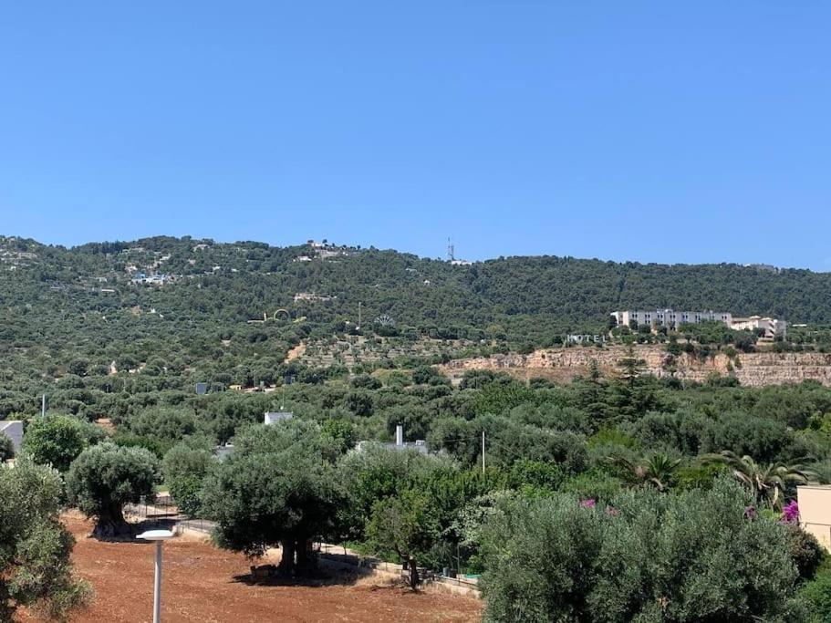Appartamento Con Vista ฟาซาโน ภายนอก รูปภาพ